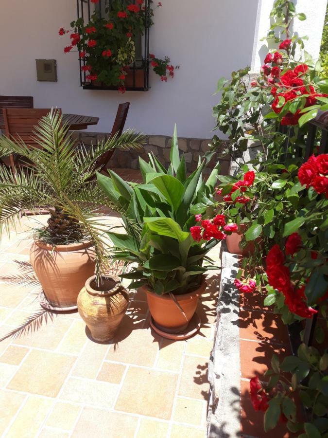 Villa Atalaya A Pie De Playa à Conil De La Frontera Extérieur photo